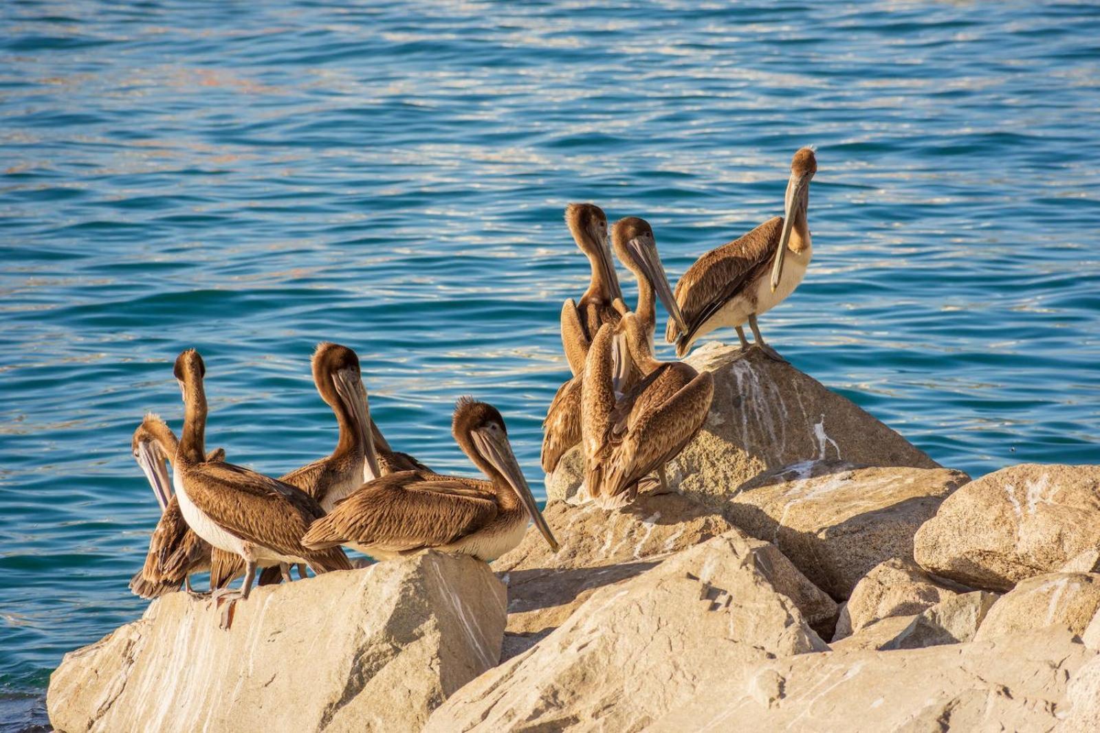 Morro Bay Beach Inn Екстериор снимка