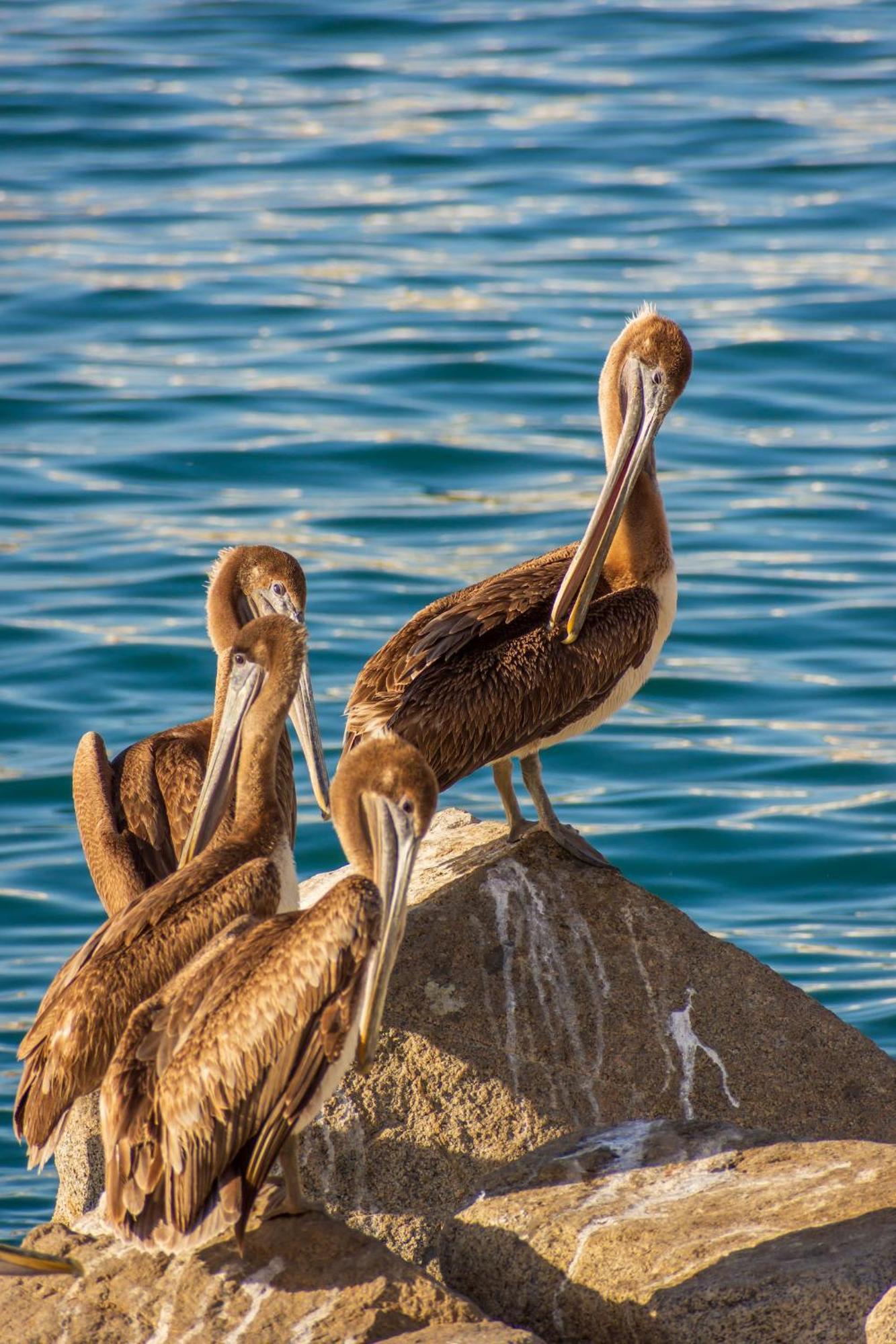 Morro Bay Beach Inn Екстериор снимка